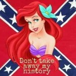 Confederate Ariel meme