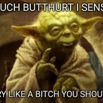 Butthurt Yoda | MUCH BUTTHURT I SENSE; CRY LIKE A BITCH YOU SHOULD | image tagged in yoda | made w/ Imgflip meme maker
