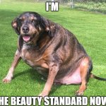 The Standard | I'M; THE BEAUTY STANDARD NOW | image tagged in fat dog,funny memes,funny dogs,fat,beauty,woke | made w/ Imgflip meme maker