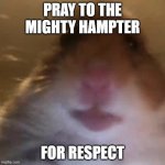 Pray to the mighty hampter | PRAY TO THE MIGHTY HAMPTER; FOR RESPECT | image tagged in hampter | made w/ Imgflip meme maker