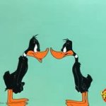 Daffy Duck vs Daffy duck GIF Template