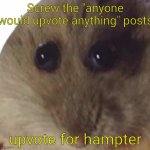 The hampter will love you in return | Screw the "anyone would upvote anything" posts; upvote for hampter | image tagged in idc if its begging,thats not the point,its hampter,memes,funny memes,unfunny | made w/ Imgflip meme maker
