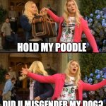 Hold my Poodle | HOLD MY POODLE; DID U MISGENDER MY DOG? | image tagged in hold my poodle | made w/ Imgflip meme maker