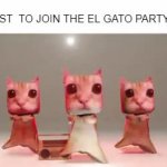 EL GATO PARTYYY GIF Template