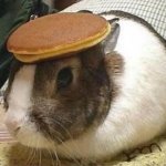 bunny pancake | image tagged in bunny pancake | made w/ Imgflip meme maker