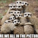 Animals Hugging | ARE WE ALL IN THE PICTURE? | image tagged in animals hugging | made w/ Imgflip meme maker