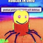 Only in ohio | ROBLOX IN OHIO | image tagged in roblox in ohio | made w/ Imgflip meme maker