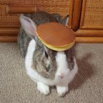 Bunny Pancake | image tagged in bunny pancake | made w/ Imgflip meme maker