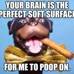 Triumph Comic To Poop On | YOUR BRAIN IS THE PERFECT SOFT SURFACE; FOR ME TO POOP ON. | image tagged in triumph comic to poop on | made w/ Imgflip meme maker