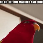 when you find out ? | WHEN YOU FIND UR  BFF GOT MARRIED AND DIDN'T INVITE YOU | image tagged in gifs,lol | made w/ Imgflip video-to-gif maker