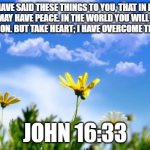 Spring | I HAVE SAID THESE THINGS TO YOU, THAT IN ME YOU MAY HAVE PEACE. IN THE WORLD YOU WILL HAVE TRIBULATION. BUT TAKE HEART; I HAVE OVERCOME THE WORLD. JOHN 16:33 | image tagged in spring | made w/ Imgflip meme maker