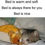 I like bed | Bed doesn’t ask questions; Bed doesn’t judge; Bed is warm and soft; Bed is always there for you; Bed is nice | image tagged in crying cat,memes,funny,true story,relatable memes,bed | made w/ Imgflip meme maker