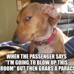 Hm | WHEN THE PASSENGER SAYS "I'M GOING TO BLOW UP THIS BATHROOM" BUT THEN GRABS A PARACHUTE | image tagged in suspicious dog,hmm | made w/ Imgflip meme maker