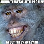 funny animals | DARLING THERE'S A LITTLE PROBLEM; ABOUT THE CREDIT CARD | image tagged in funny animals | made w/ Imgflip meme maker