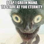 I Tap 1 Green Mana... | I TAP 1 GREEN MANA TO STARE AT YOU ETERNITY | image tagged in nerd,nerd cat,cats,mtg,magic the gathering,mana | made w/ Imgflip meme maker