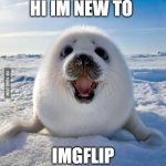 Seal of Approval | HI IM NEW TO; IMGFLIP | image tagged in funny | made w/ Imgflip meme maker