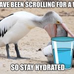 Quote - papa(modest) pelican | YOU HAVE BEEN SCROLLING FOR A WHILE, SO STAY HYDRATED | image tagged in pelican checkup | made w/ Imgflip meme maker