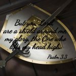 psalm 3:3 the Lord is my shield | But you, Lord, 
are a shield around me,
my glory, the One who
lifts my head high. Psalm 3:3; Angel Soto | image tagged in psalm,shield,praise the lord,head | made w/ Imgflip meme maker