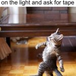 Meme #845 | My sibling going into my room at 12AM to turn on the light and ask for tape | image tagged in cat walking like a boss,siblings,annoying,tape,sleeping,lights | made w/ Imgflip meme maker