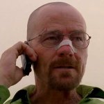 walter-white-i-won