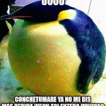 Pingüino hinchado