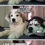 Bad Pun Dog | WANNA HEAR A JOKE? FINE... WHAT DO YOU CALL A TREE YOU CAN HOLD IN YOUR HAND? WUT...? A PALM TREE! OHOHOHO!!!! *IN MIND: THIS DOG IS A RIOT.* | image tagged in bad pun dogs | made w/ Imgflip meme maker