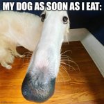 AAAAAAAAAAAAAAAA | MY DOG AS SOON AS I EAT: | image tagged in let me do it for you | made w/ Imgflip meme maker