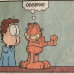 Garfield Observe meme