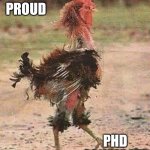 Look at Me Now! | THE PROUD; PHD CANDIDATE | image tagged in disheveled rooster,grad school,phd | made w/ Imgflip meme maker