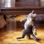 Best feeling ever | POV:; YOUR MOM LET YOU KEEP THE CHANGE | image tagged in memes,cool cat stroll | made w/ Imgflip meme maker