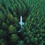 plane in the trees