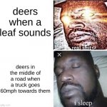 deers | deers when a leaf sounds; deers in the middle of a road when a truck goes 60mph towards them | image tagged in i sleep reverse | made w/ Imgflip meme maker
