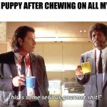 pup will eat anything. | THE NEW PUPPY AFTER CHEWING ON ALL MY SHOES: | image tagged in this is some serious gourmet shit,pup | made w/ Imgflip meme maker