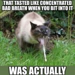 Except I didn't figure it out until after I'd swallowed it | WHEN YOU REALIZE THE UNEXPECTED COTTAGE CHEESE CURD THAT TASTED LIKE CONCENTRATED BAD BREATH WHEN YOU BIT INTO IT; WAS ACTUALLY A TONSIL STONE | image tagged in puking cat | made w/ Imgflip meme maker