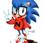 Nicky ( Aka Sonic )