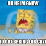 AW HELM GNAW | OH HELM GNAW; WHO GOT SPRING LOB CRYING | image tagged in spumgelop cryne | made w/ Imgflip meme maker
