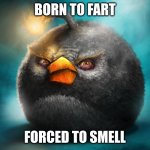 yes | BORN TO FART; FORCED TO SMELL | image tagged in realistic bomb angry bird | made w/ Imgflip meme maker
