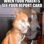 The Report Card | WHEN YOUR PARENTS SEE YOUR REPORT CARD | image tagged in therapy dog ptsd | made w/ Imgflip meme maker