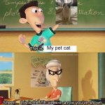 Sheen's show and tell | My pet cat; Your cat | image tagged in sheen's show and tell | made w/ Imgflip meme maker