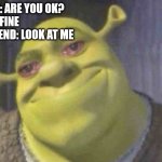 I am fine | FRIEND: ARE YOU OK?
ME: IM FINE
MY FRIEND: LOOK AT ME
ME: | image tagged in crying shrek | made w/ Imgflip meme maker
