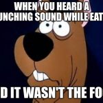 Cavity Alert | WHEN YOU HEARD A CRUNCHING SOUND WHILE EATING; AND IT WASN'T THE FOOD | image tagged in scooby doo surprised,eating,food | made w/ Imgflip meme maker