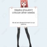 Weeb Shouldn't Criticized Other Weebs