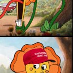 ANGRY FLOWER-HAPPY FLOWER BUT WITH MAGA HATS