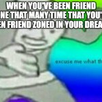 true story :c | WHEN YOU'VE BEEN FRIEND ZONE THAT MANY TIME THAT YOU'RE EVEN FRIEND ZONED IN YOUR DREAMS | image tagged in excuse me wtf | made w/ Imgflip meme maker