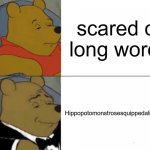 uhm yes | scared of long words; Hippopotomonstrosesquippedaliophobia | image tagged in memes,tuxedo winnie the pooh,fun | made w/ Imgflip meme maker