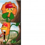 HAPPY THEN ANGRY FLOWERS, MAGA HATS