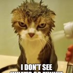 Wet Cat Funny Picture | I DON'T SEE WHAT'S SO FUNNY! | image tagged in wet cat,funny picture | made w/ Imgflip meme maker