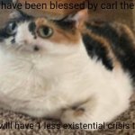 Have a good day | You have been blessed by carl the cat; You will have 1 less existential crisis today | image tagged in what,cat,wholesome,memes | made w/ Imgflip meme maker