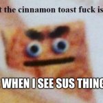 True stuff | ME WHEN I SEE SUS THINGS: | image tagged in what the cinnamon toast f is this | made w/ Imgflip meme maker