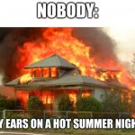 Its always like burning hot... | NOBODY:; MY EARS ON A HOT SUMMER NIGHT: | image tagged in burnin' house,sad pablo escobar,1 trophy,memes,tuxedo winnie the pooh,gifs | made w/ Imgflip meme maker